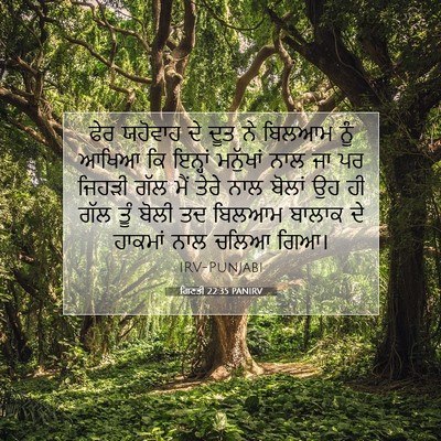 Picture 07 - ਗਿਣਤੀ 22:35 PANIRV - ਫੇਰ ਯਹੋਵਾਹ ਦੇ ਦੂਤ - Bible Verse Picture