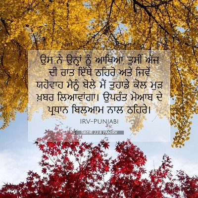 Picture 07 - ਗਿਣਤੀ 22:8 PANIRV - ਉਸ ਨੇ ਉਨ੍ਹਾਂ ਨੂੰ - Bible Verse Picture