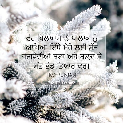 Picture 07 - ਗਿਣਤੀ 23:1 PANIRV - ਫੇਰ ਬਿਲਆਮ ਨੇ ਬਾਲਾਕ - Bible Verse Picture