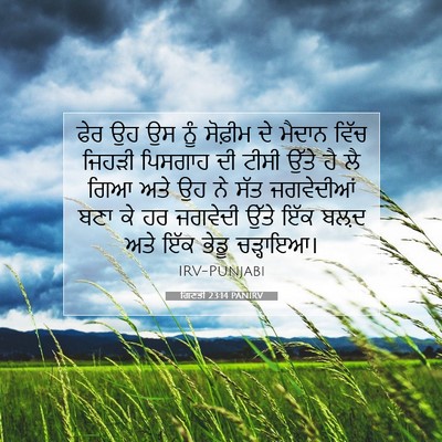 Picture 07 - ਗਿਣਤੀ 23:14 PANIRV - ਫੇਰ ਉਹ ਉਸ ਨੂੰ - Bible Verse Picture