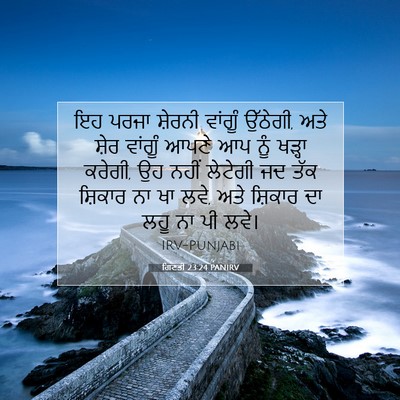 Picture 07 - ਗਿਣਤੀ 23:24 PANIRV - ਇਹ ਪਰਜਾ ਸ਼ੇਰਨੀ - Bible Verse Picture