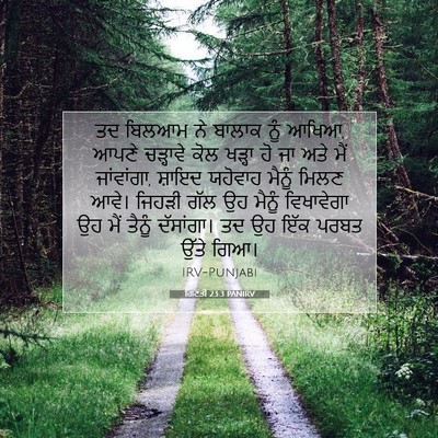 Picture 07 - ਗਿਣਤੀ 23:3 PANIRV - ਤਦ ਬਿਲਆਮ ਨੇ ਬਾਲਾਕ - Bible Verse Picture