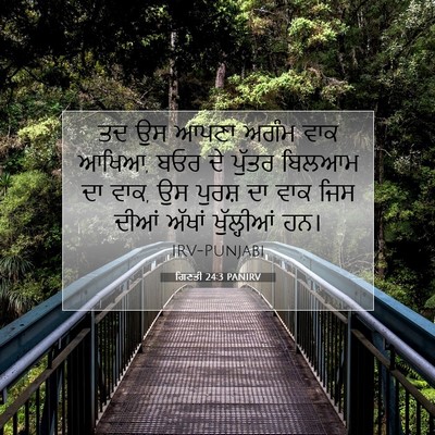 Picture 07 - ਗਿਣਤੀ 24:3 PANIRV - ਤਦ ਉਸ ਆਪਣਾ ਅਗੰਮ ਵਾਕ - Bible Verse Picture