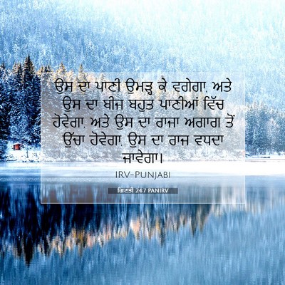 Picture 07 - ਗਿਣਤੀ 24:7 PANIRV - ਉਸ ਦਾ ਪਾਣੀ ਉਮੜ੍ਹ ਕੇ - Bible Verse Picture
