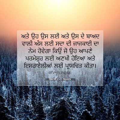 Picture 07 - ਗਿਣਤੀ 25:13 PANIRV - ਅਤੇ ਉਹ ਉਸ ਲਈ ਅਤੇ ਉਸ - Bible Verse Picture