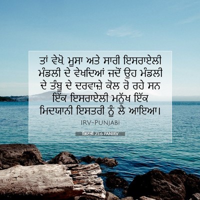 Picture 07 - ਗਿਣਤੀ 25:6 PANIRV - ਤਾਂ ਵੇਖੋ, ਮੂਸਾ ਅਤੇ - Bible Verse Picture