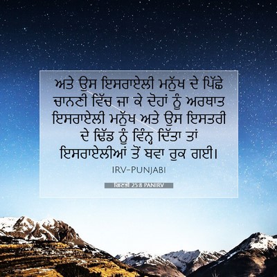 Picture 07 - ਗਿਣਤੀ 25:8 PANIRV - ਅਤੇ ਉਸ ਇਸਰਾਏਲੀ - Bible Verse Picture