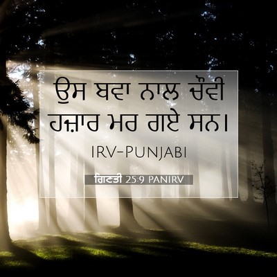 Picture 07 - ਗਿਣਤੀ 25:9 PANIRV - ਉਸ ਬਵਾ ਨਾਲ ਚੌਵੀ - Bible Verse Picture