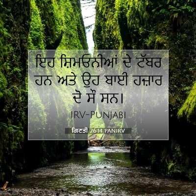 Picture 07 - ਗਿਣਤੀ 26:14 PANIRV - ਇਹ ਸ਼ਿਮਓਨੀਆਂ ਦੇ - Bible Verse Picture