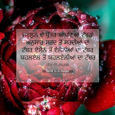 Picture 07 - ਗਿਣਤੀ 26:26 PANIRV - ਜ਼ਬੂਲੁਨ ਦੇ ਪੁੱਤਰ - Bible Verse Picture