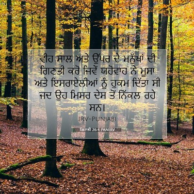 Picture 07 - ਗਿਣਤੀ 26:4 PANIRV - ਵੀਹ ਸਾਲ ਅਤੇ ਉੱਪਰ ਦੇ - Bible Verse Picture