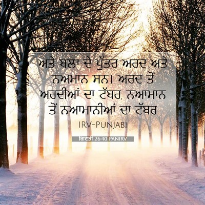 Picture 07 - ਗਿਣਤੀ 26:40 PANIRV - ਅਤੇ ਬਲਾ ਦੇ ਪੁੱਤਰ - Bible Verse Picture