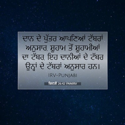 Picture 07 - ਗਿਣਤੀ 26:42 PANIRV - ਦਾਨ ਦੇ ਪੁੱਤਰ - Bible Verse Picture