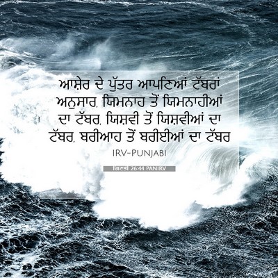 Picture 07 - ਗਿਣਤੀ 26:44 PANIRV - ਆਸ਼ੇਰ ਦੇ ਪੁੱਤਰ - Bible Verse Picture