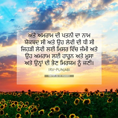 Picture 07 - ਗਿਣਤੀ 26:59 PANIRV - ਅਤੇ ਅਮਰਾਮ ਦੀ ਪਤਨੀ - Bible Verse Picture