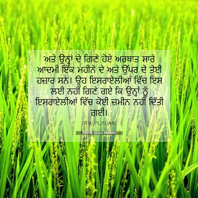 Picture 07 - ਗਿਣਤੀ 26:62 PANIRV - ਅਤੇ ਉਨ੍ਹਾਂ ਦੇ ਗਿਣੇ - Bible Verse Picture