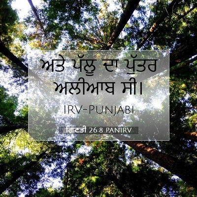 Picture 07 - ਗਿਣਤੀ 26:8 PANIRV - ਅਤੇ ਪੱਲੂ ਦਾ ਪੁੱਤਰ - Bible Verse Picture