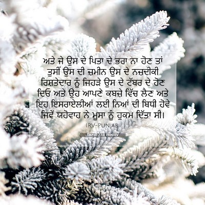Picture 07 - ਗਿਣਤੀ 27:11 PANIRV - ਅਤੇ ਜੇ ਉਸ ਦੇ ਪਿਤਾ - Bible Verse Picture