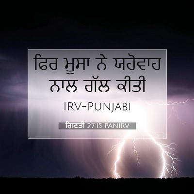 Picture 07 - ਗਿਣਤੀ 27:15 PANIRV - ਫਿਰ ਮੂਸਾ ਨੇ ਯਹੋਵਾਹ - Bible Verse Picture
