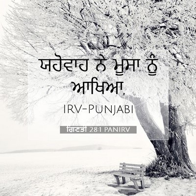 Picture 07 - ਗਿਣਤੀ 28:1 PANIRV - ਯਹੋਵਾਹ ਨੇ ਮੂਸਾ ਨੂੰ - Bible Verse Picture