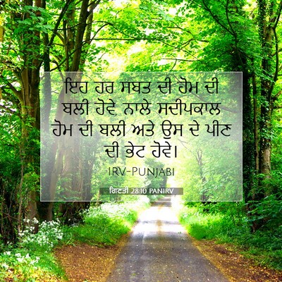 Picture 07 - ਗਿਣਤੀ 28:10 PANIRV - ਇਹ ਹਰ ਸਬਤ ਦੀ ਹੋਮ ਦੀ - Bible Verse Picture