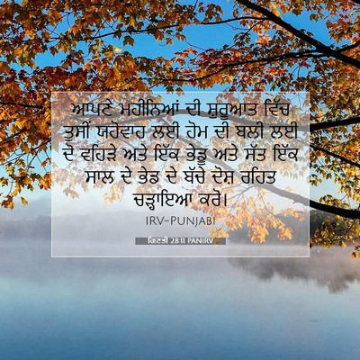 Picture 07 - ਗਿਣਤੀ 28:11 PANIRV - ਆਪਣੇ ਮਹੀਨਿਆਂ ਦੀ - Bible Verse Picture