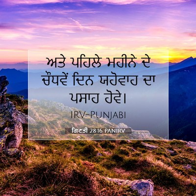Picture 07 - ਗਿਣਤੀ 28:16 PANIRV - ਅਤੇ ਪਹਿਲੇ ਮਹੀਨੇ ਦੇ - Bible Verse Picture
