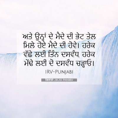 Picture 07 - ਗਿਣਤੀ 28:20 PANIRV - ਅਤੇ ਉਨ੍ਹਾਂ ਦੇ ਮੈਦੇ - Bible Verse Picture