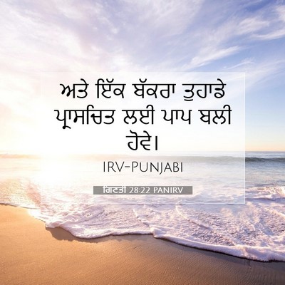 Picture 07 - ਗਿਣਤੀ 28:22 PANIRV - ਅਤੇ ਇੱਕ ਬੱਕਰਾ - Bible Verse Picture