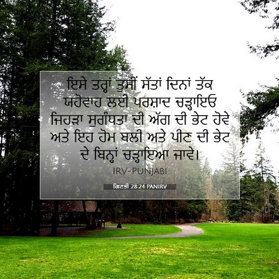 Picture 07 - ਗਿਣਤੀ 28:24 PANIRV - ਇਸੇ ਤਰ੍ਹਾਂ ਤੁਸੀਂ - Bible Verse Picture
