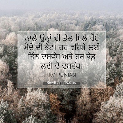 Picture 07 - ਗਿਣਤੀ 28:28 PANIRV - ਨਾਲੇ ਉਨ੍ਹਾਂ ਦੀ ਤੇਲ - Bible Verse Picture