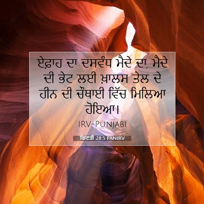 Picture 07 - ਗਿਣਤੀ 28:5 PANIRV - ਏਫ਼ਾਹ ਦਾ ਦਸਵੰਧ - Bible Verse Picture