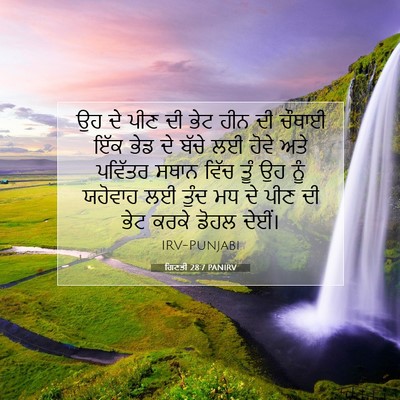 Picture 07 - ਗਿਣਤੀ 28:7 PANIRV - ਉਹ ਦੇ ਪੀਣ ਦੀ ਭੇਟ - Bible Verse Picture
