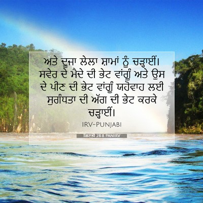 Picture 07 - ਗਿਣਤੀ 28:8 PANIRV - ਅਤੇ ਦੂਜਾ ਲੇਲਾ - Bible Verse Picture