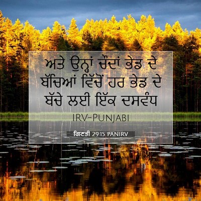 Picture 07 - ਗਿਣਤੀ 29:15 PANIRV - ਅਤੇ ਉਨ੍ਹਾਂ ਚੌਦਾਂ - Bible Verse Picture