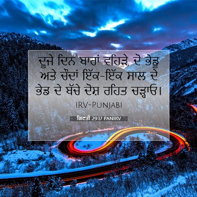 Picture 07 - ਗਿਣਤੀ 29:17 PANIRV - ਦੂਜੇ ਦਿਨ ਬਾਰਾਂ - Bible Verse Picture