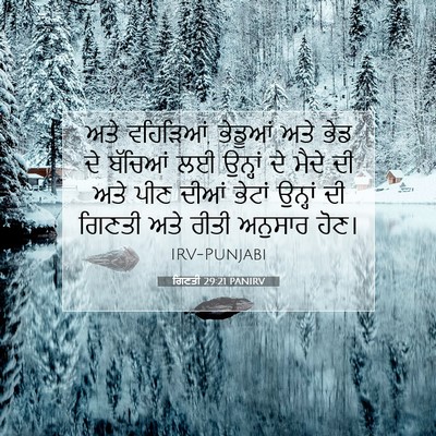Picture 07 - ਗਿਣਤੀ 29:21 PANIRV - ਅਤੇ ਵਹਿੜਿਆਂ, - Bible Verse Picture