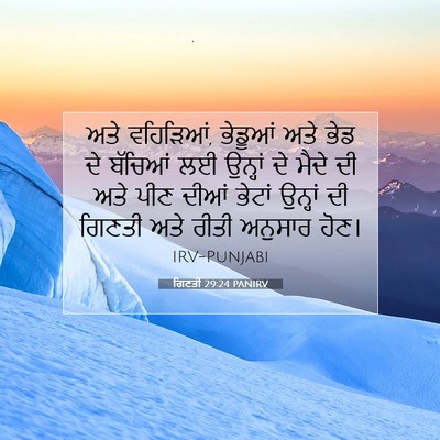 Picture 07 - ਗਿਣਤੀ 29:24 PANIRV - ਅਤੇ ਵਹਿੜਿਆਂ, - Bible Verse Picture