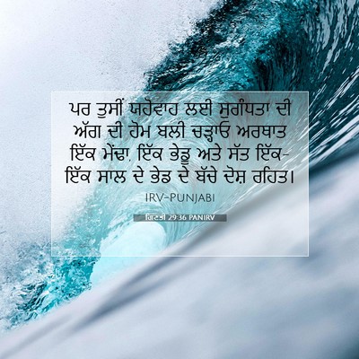 Picture 07 - ਗਿਣਤੀ 29:36 PANIRV - ਪਰ ਤੁਸੀਂ ਯਹੋਵਾਹ ਲਈ - Bible Verse Picture