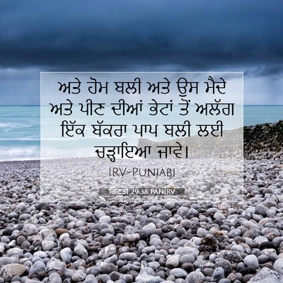 Picture 07 - ਗਿਣਤੀ 29:38 PANIRV - ਅਤੇ ਹੋਮ ਬਲੀ ਅਤੇ ਉਸ - Bible Verse Picture