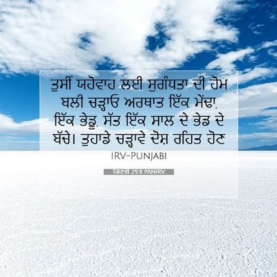 Picture 07 - ਗਿਣਤੀ 29:8 PANIRV - ਤੁਸੀਂ ਯਹੋਵਾਹ ਲਈ - Bible Verse Picture