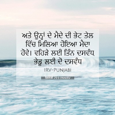 Picture 07 - ਗਿਣਤੀ 29:9 PANIRV - ਅਤੇ ਉਨ੍ਹਾਂ ਦੇ ਮੈਦੇ - Bible Verse Picture