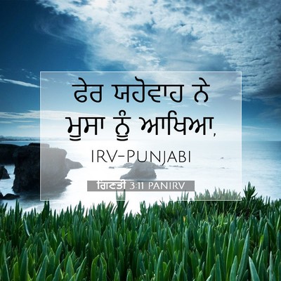 Picture 07 - ਗਿਣਤੀ 3:11 PANIRV - ਫੇਰ ਯਹੋਵਾਹ ਨੇ ਮੂਸਾ - Bible Verse Picture