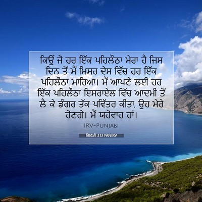 Picture 07 - ਗਿਣਤੀ 3:13 PANIRV - ਕਿਉਂ ਜੋ ਹਰ ਇੱਕ - Bible Verse Picture
