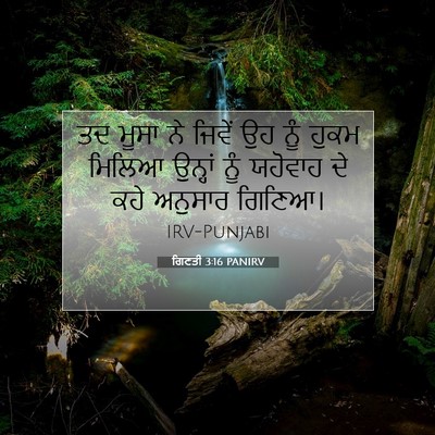Picture 07 - ਗਿਣਤੀ 3:16 PANIRV - ਤਦ ਮੂਸਾ ਨੇ ਜਿਵੇਂ ਉਹ - Bible Verse Picture