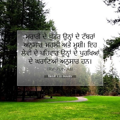 Picture 07 - ਗਿਣਤੀ 3:20 PANIRV - ਮਰਾਰੀ ਦੇ ਪੁੱਤਰ - Bible Verse Picture