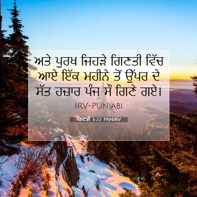 Picture 07 - ਗਿਣਤੀ 3:22 PANIRV - ਅਤੇ ਪੁਰਖ ਜਿਹੜੇ - Bible Verse Picture