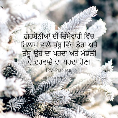 Picture 07 - ਗਿਣਤੀ 3:25 PANIRV - ਗੇਰਸ਼ੋਨੀਆਂ ਦੀ - Bible Verse Picture