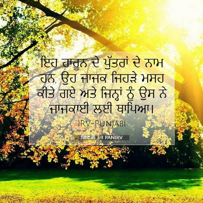 Picture 07 - ਗਿਣਤੀ 3:3 PANIRV - ਇਹ ਹਾਰੂਨ ਦੇ - Bible Verse Picture