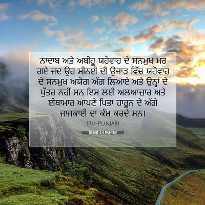 Picture 07 - ਗਿਣਤੀ 3:4 PANIRV - ਨਾਦਾਬ ਅਤੇ ਅਬੀਹੂ - Bible Verse Picture